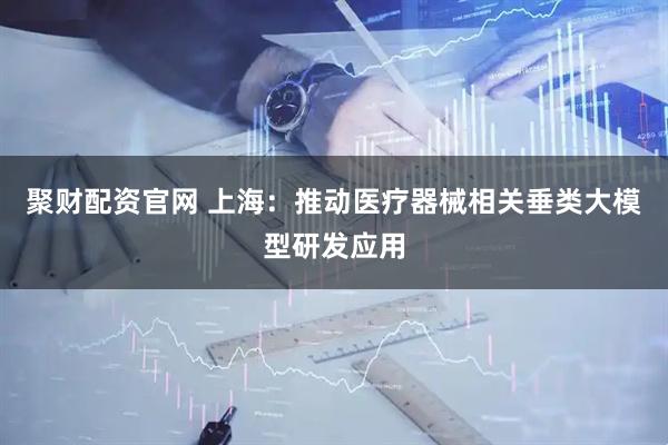 聚财配资官网 上海：推动医疗器械相关垂类大模型研发应用