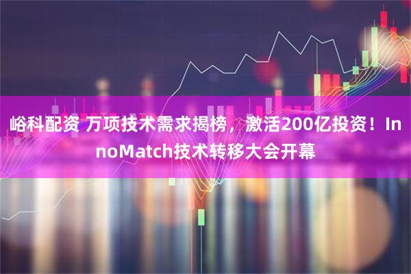 峪科配资 万项技术需求揭榜，激活200亿投资！InnoMatch技术转移大会开幕