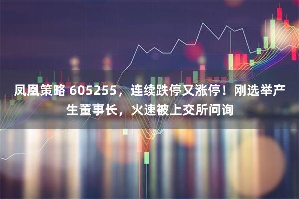 凤凰策略 605255，连续跌停又涨停！刚选举产生董事长，火速被上交所问询